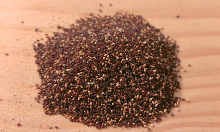 Pile of drywood termite droppings on a wooden surface