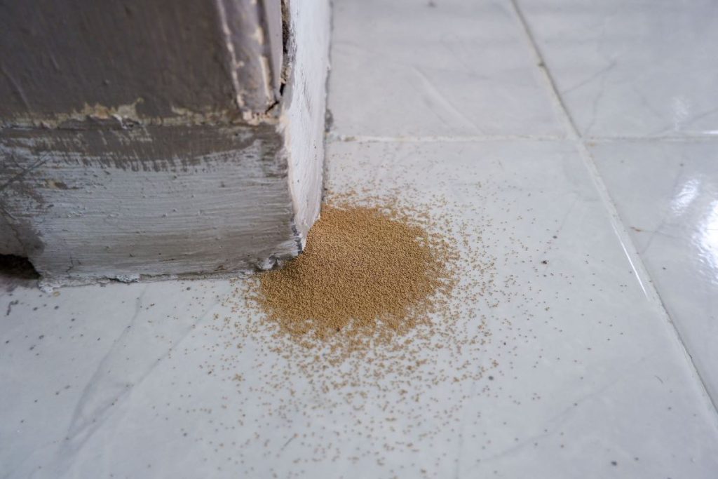 Termite droppings piled near a wall on a tiled floor.