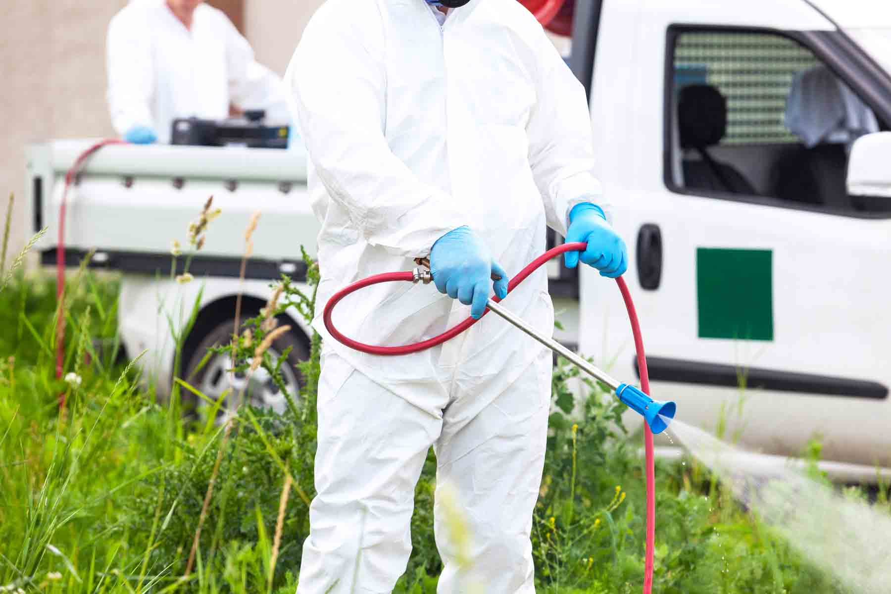 an expert spraying mosquito spray in a garden