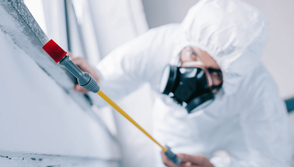 Pest control professional in protective gear spraying along a window frame for preventive treatment