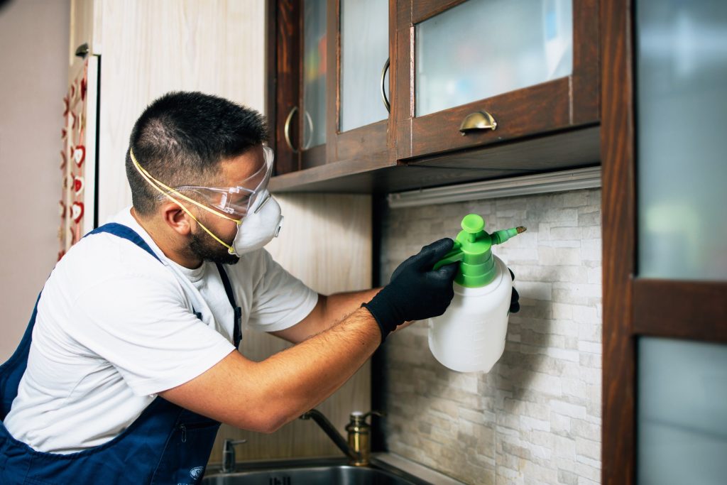 Technician spraying under kitchen cabinet for pest control