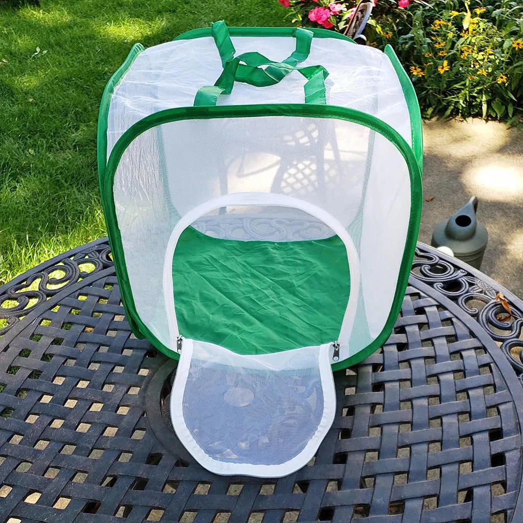 a cute butterfly cage