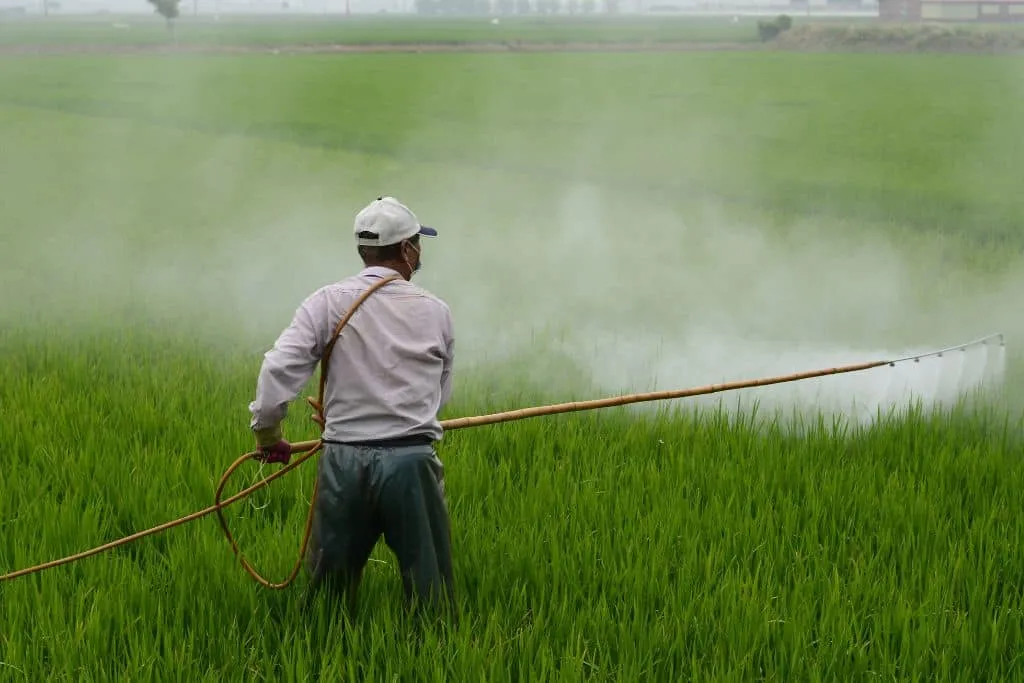 a person spraying pesticides spray on a crop
