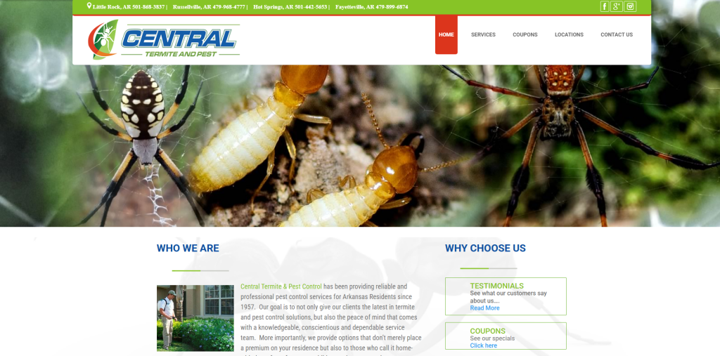 Central Termite and Pest Hero Section