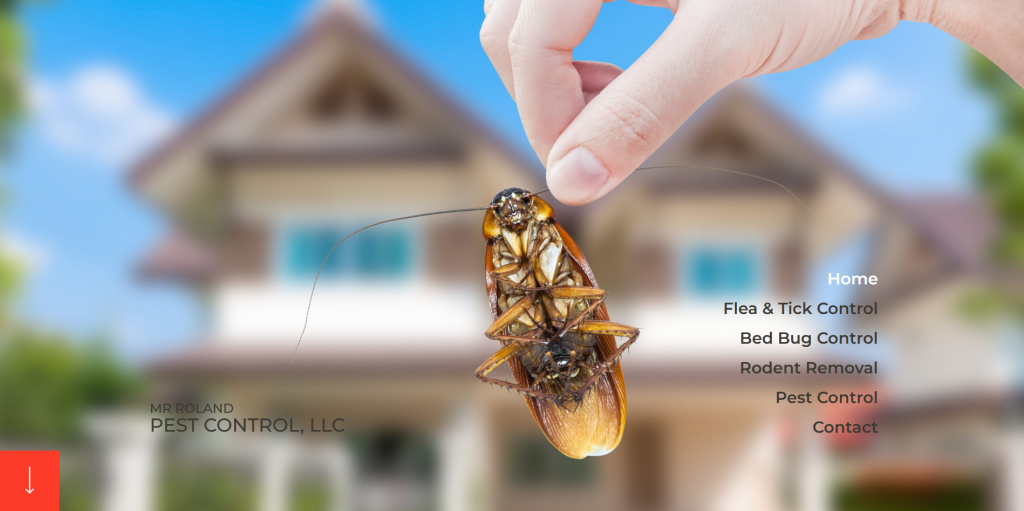 Mr. Roland Pest Control Hero Section