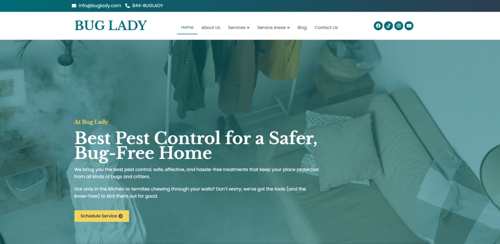 Buglady hero section