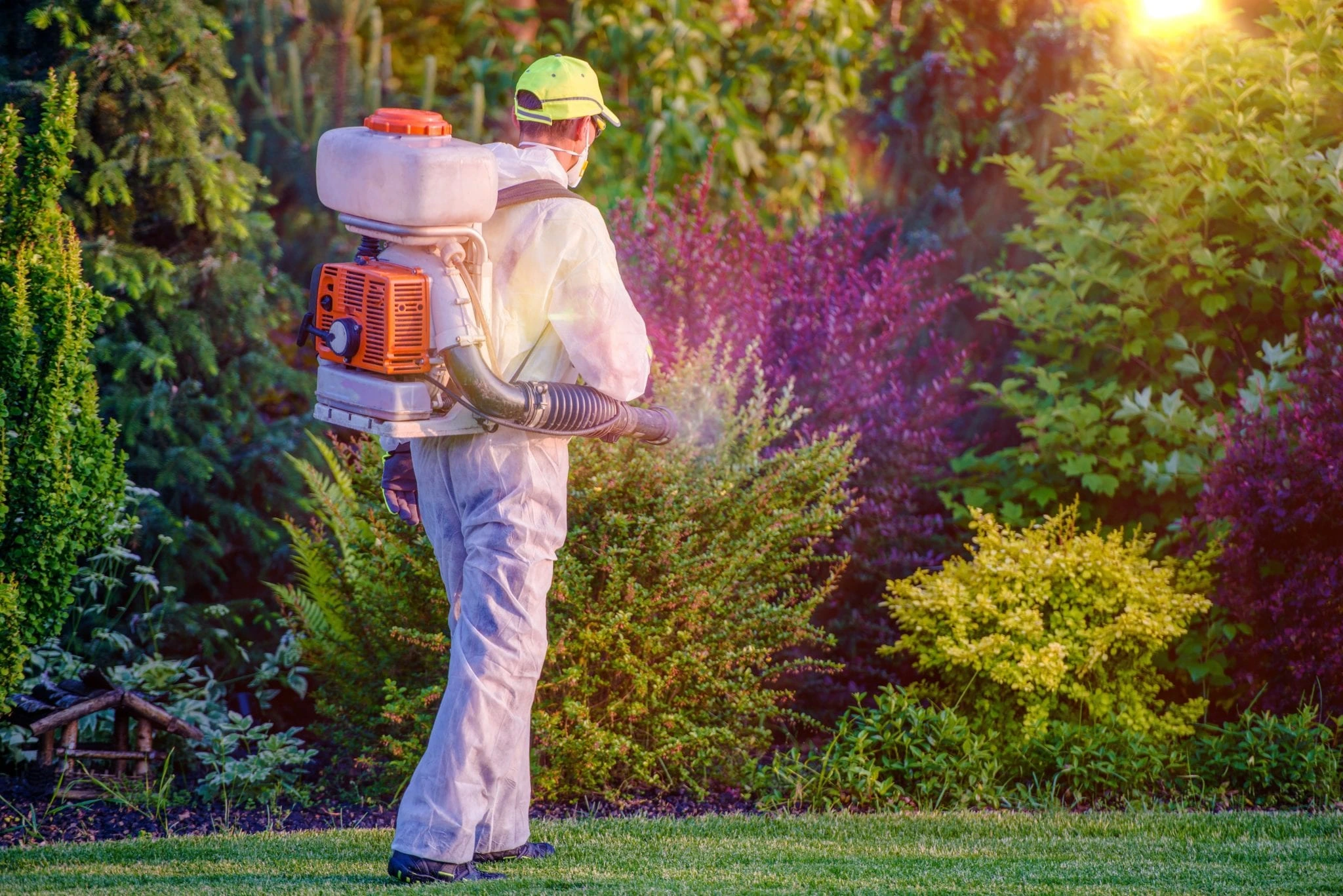 a pest expert spraying over herbs standing in a lawn