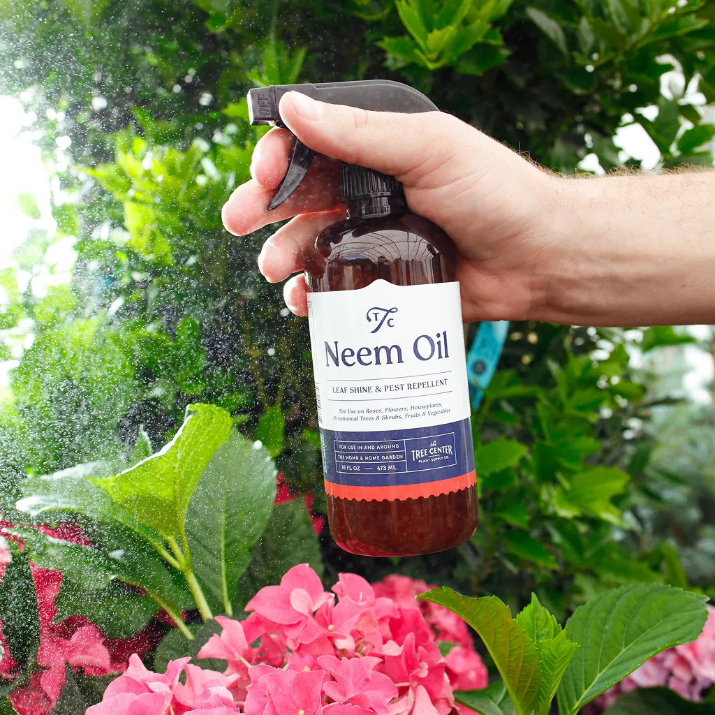 close up of a spray bottle with neem oil