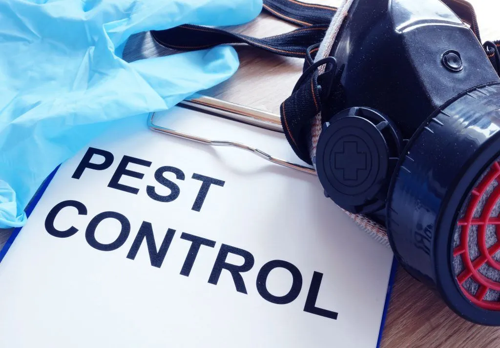 A pest control document with a gas mask and blue gloves beside it.