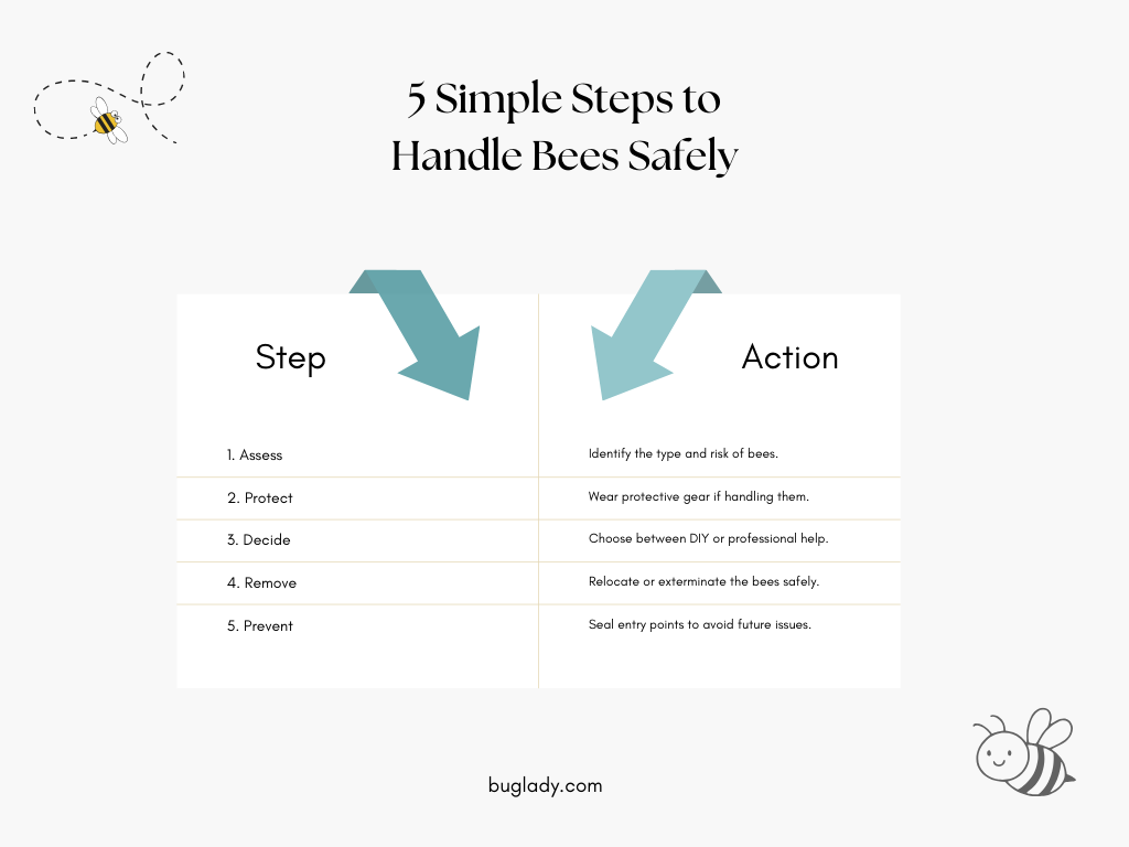 An infographic outlining with steps and actions to manage bees effectively.