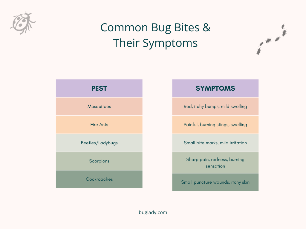Table of common bug bites and their symptoms.