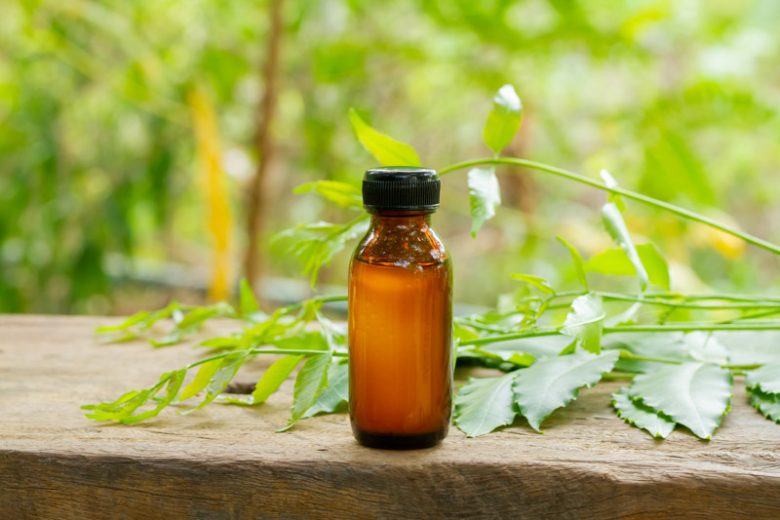 A bottle of neem oil with neem leaves on a wooden surface.
