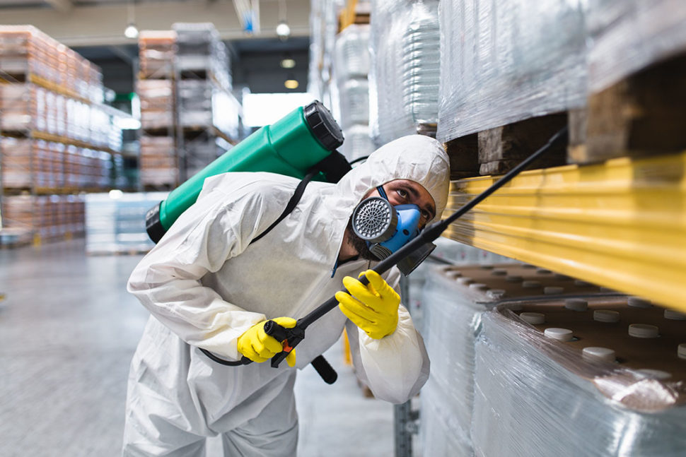 A professional applying pest control in a food service environment