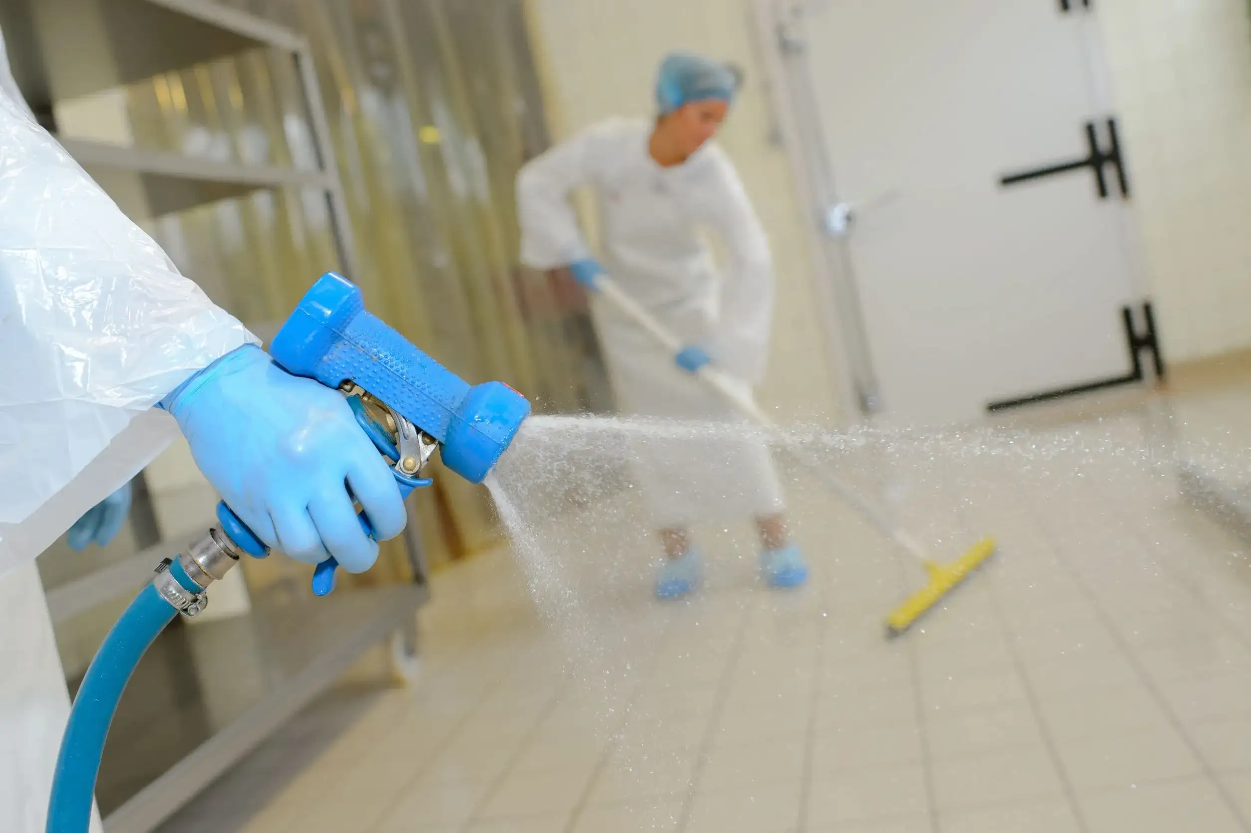 Pest control technician spraying chemicals in a food production area