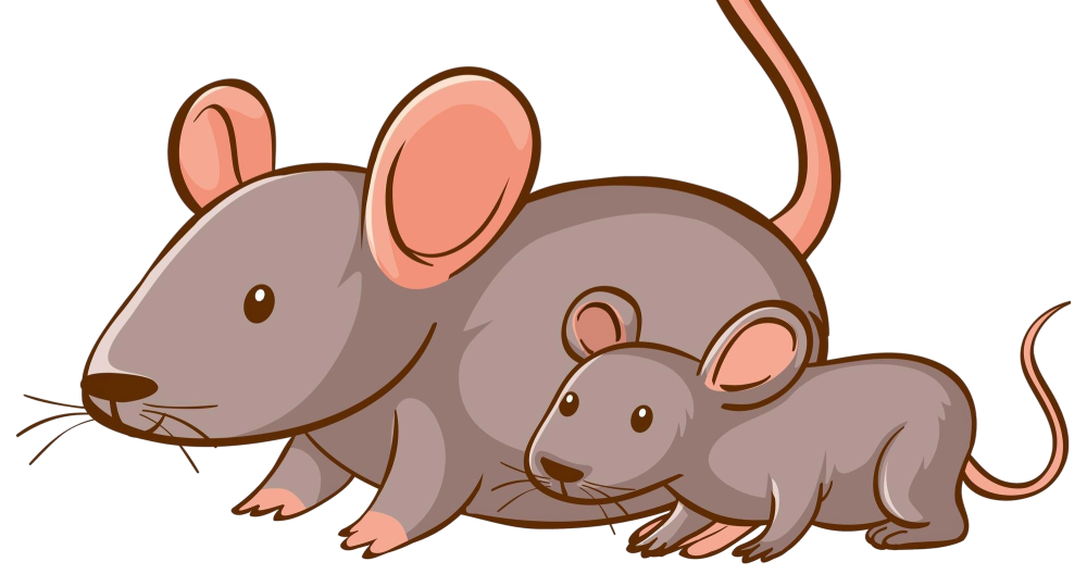 Cartoon image of a mother and baby mouse, illustrating mouse pest control concepts