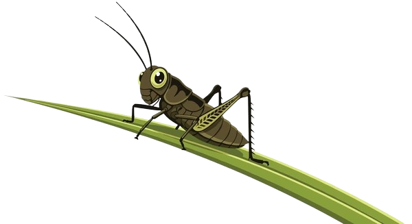 Cute cartoon cricket illustration, showcasing a playful take on pest control