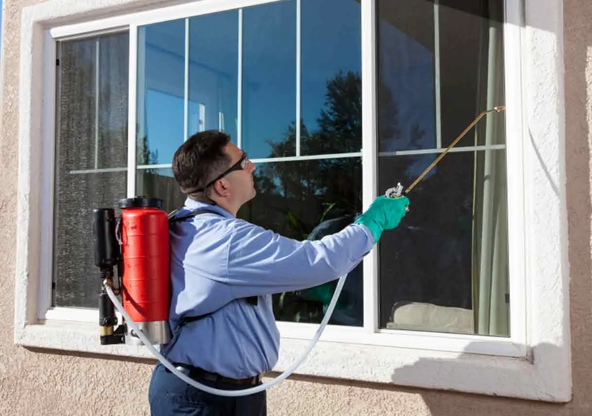 pest control technician spraying treatment on a window to prevent pest infestations.