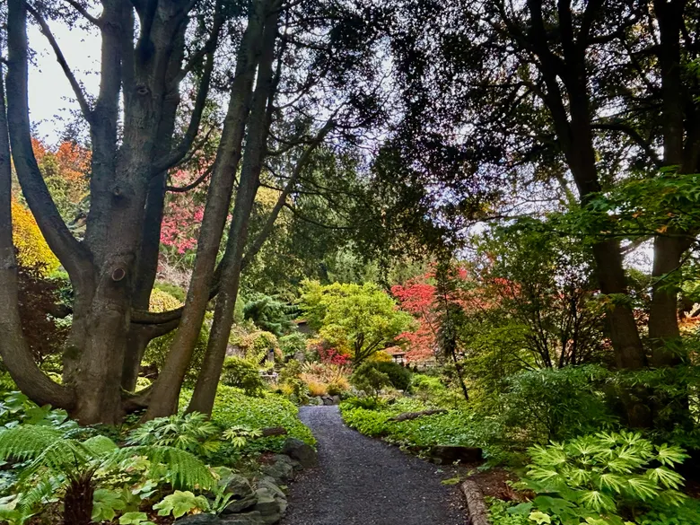 A shaded garden path winding through layered plants, shrubs, and trees in a colorful fall landscape.