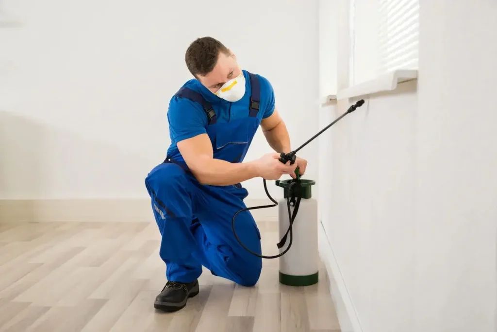 Emergency Pest Control Myths