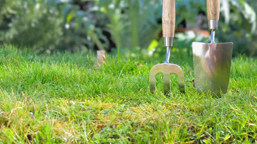 Garden fork and trowel standing upright in a grassy lawn with blurred garden plants in the background.