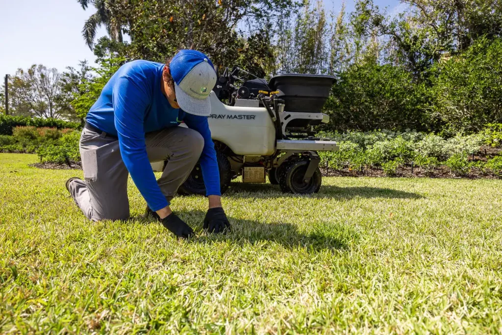 Lawn technician inspecting grass for grub prevention (1)