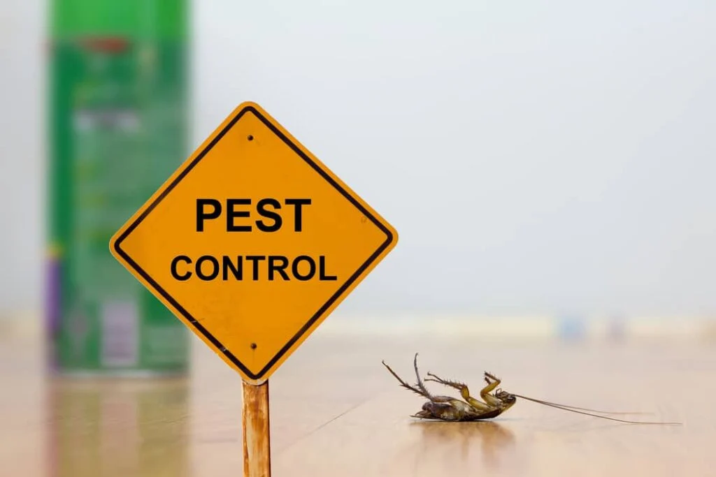 Orange “PEST CONTROL” sign beside a dead cockroach on the floor.