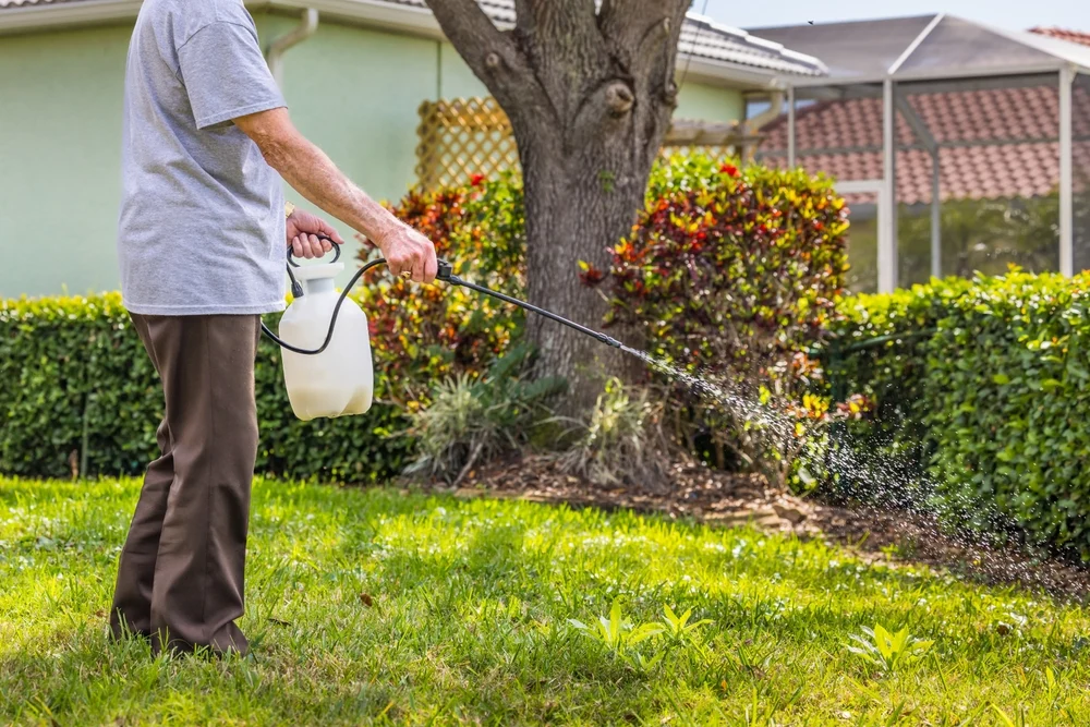 Person spraying lawn treatment in a backyard