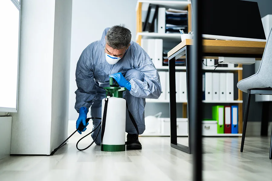 Pest control technician spraying inside an office