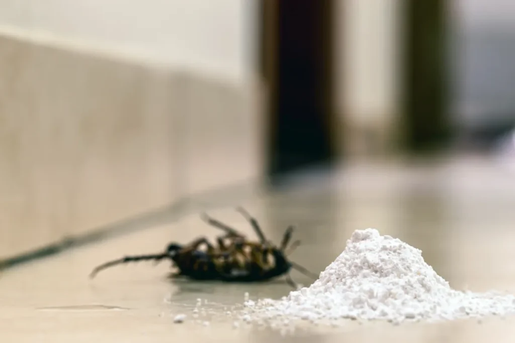 Pile of insecticide powder on the floor next to a dead cockroach.