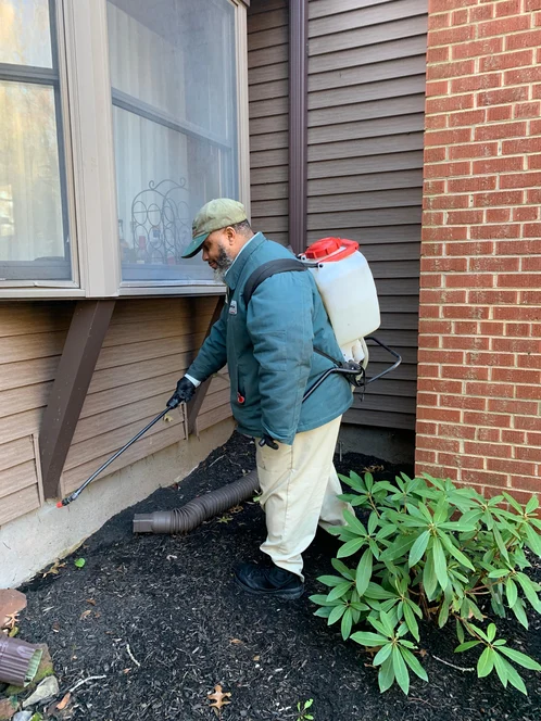 Technician spraying exterior foundation for pests.