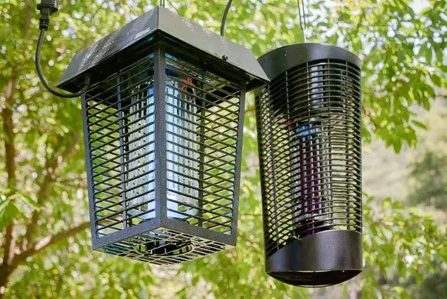 Two bug zappers hanging outdoors among trees.
