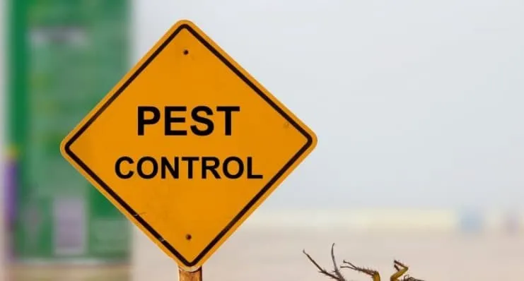 Yellow warning sign reading ‘PEST CONTROL’ near an insect.