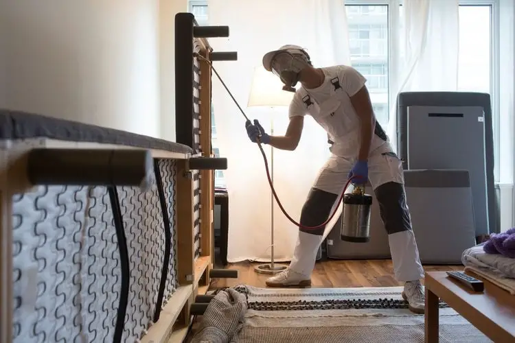 a pest control expert spraying in a living room