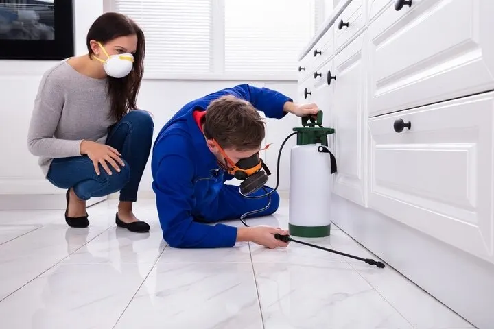 a professional pest control expert checking under the cabinets, a woman wearing mask besides her