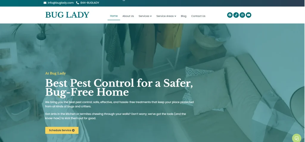 buglady homepage preview