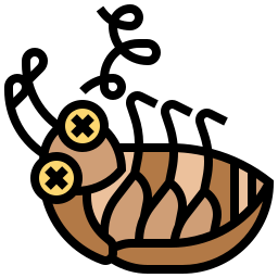 cockroach