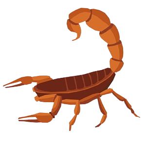 scorpion