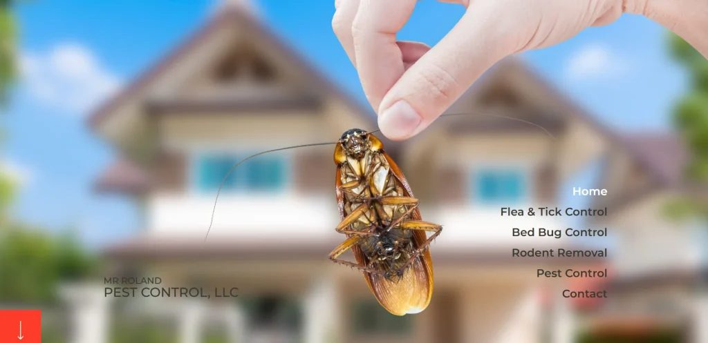 mr. roland pest control homepage preview