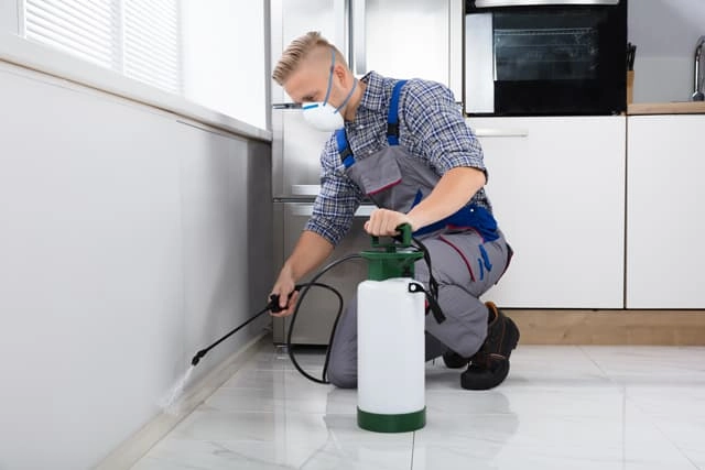 pest expert spraying in corners